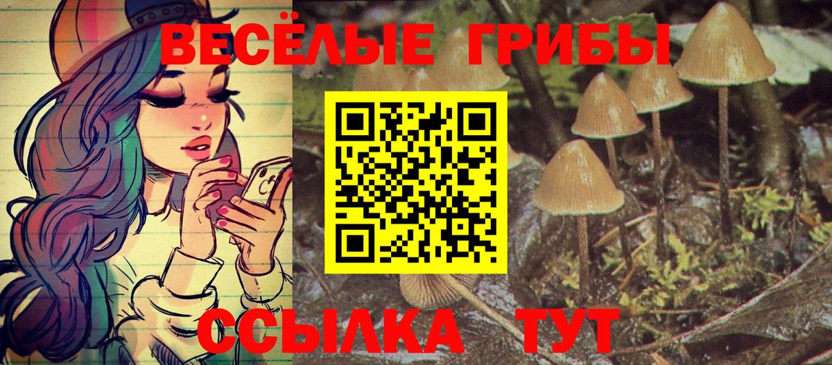 Галлюциногенные грибы MAGIC MUSHROOMS Тобольск
